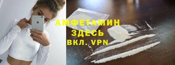мдпв Весьегонск