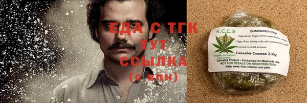 ГАЛЛЮЦИНОГЕННЫЕ ГРИБЫ Магас