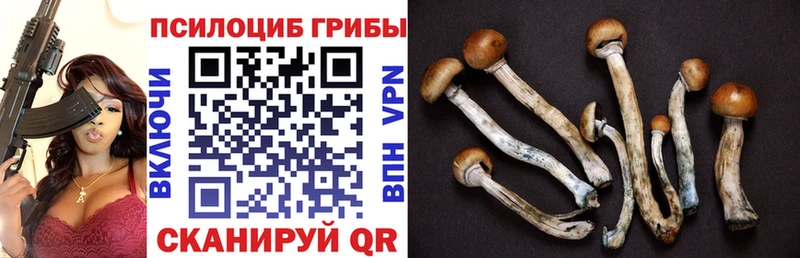 Псилоцибиновые грибы мухоморы  наркота  Межгорье 